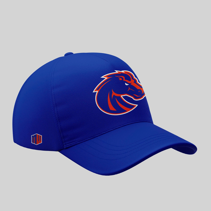 Boise State Broncos Football "The Blue and the State of Idaho" Special Edition 2025 Hoodie V7