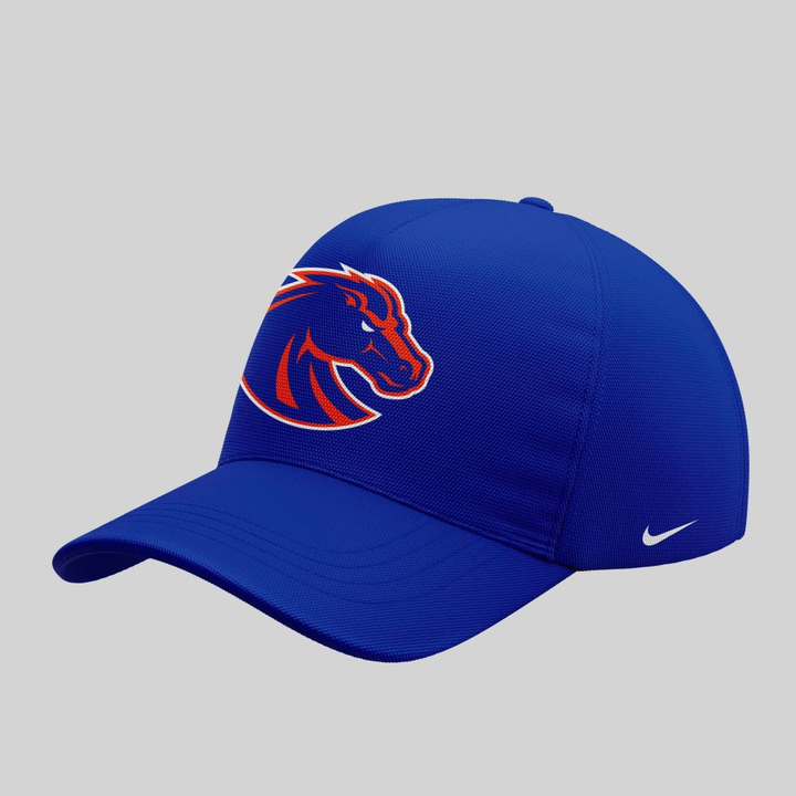 Boise State Broncos Football "The Blue and the State of Idaho" Special Edition 2025 Hoodie V7