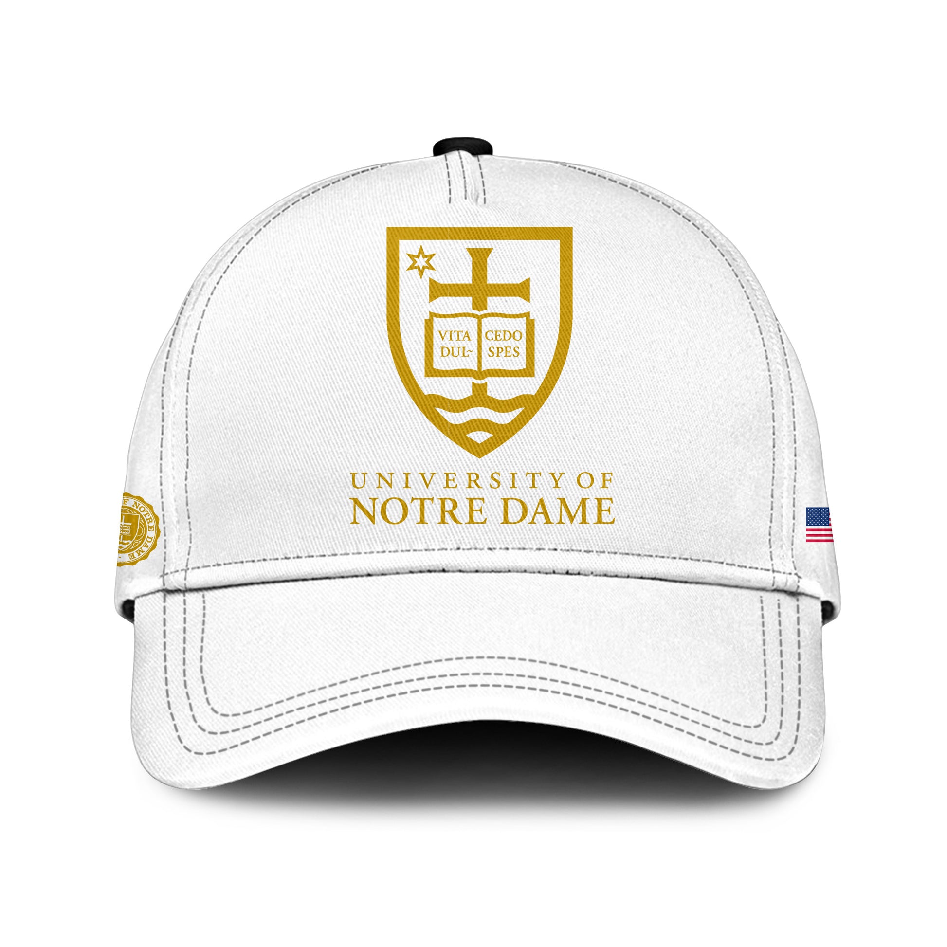 .    Notre  Dame Campus Freedom Hoodie