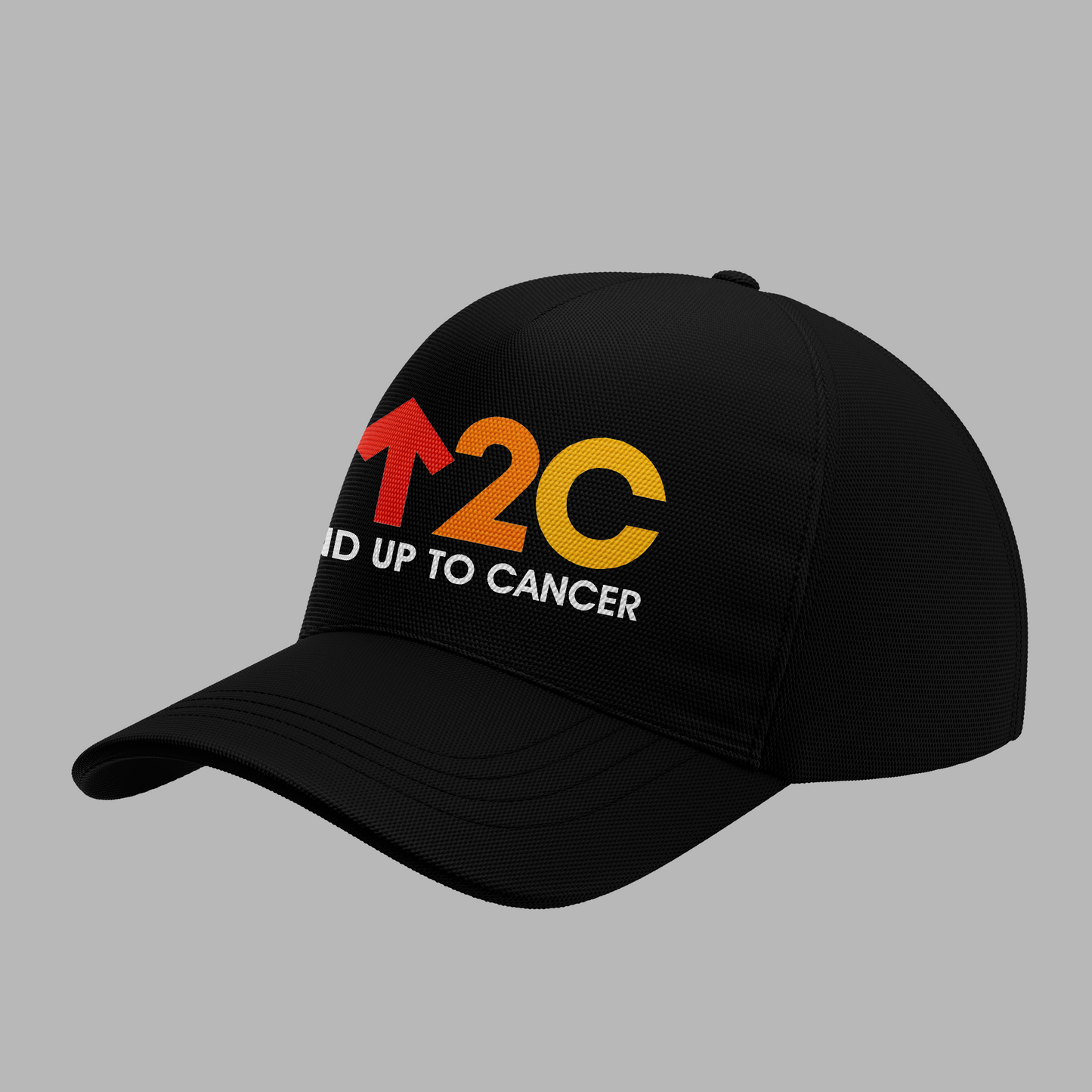 Stand Up to Cancer T shirt 2025.01